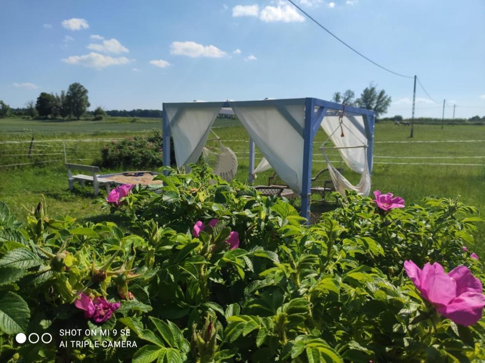 Folwark Malinowy Chrusniak Villa Bisztynek Luaran gambar